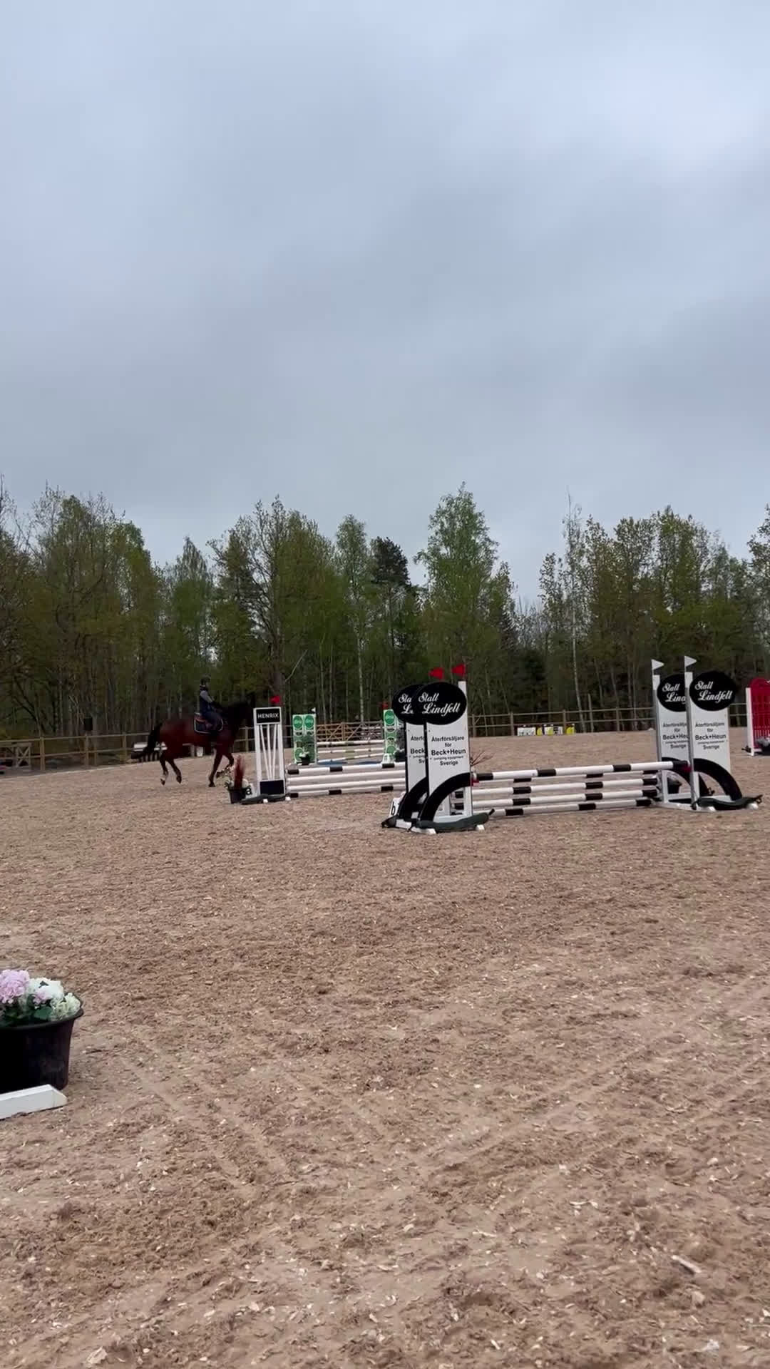 Allround hästar till salu: Snygg valack RESERVERAD  i Eksjö - Video 1