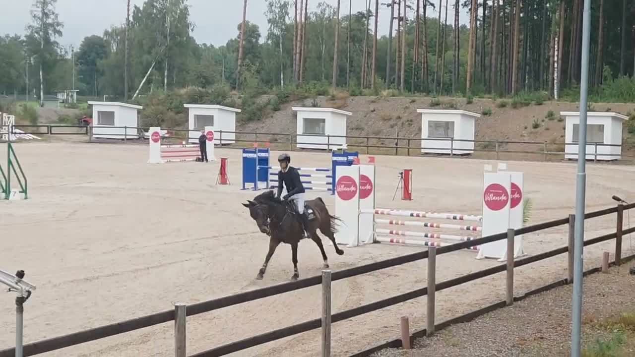 Hoppning hästar till salu: Välhoppande sto  - Video 1