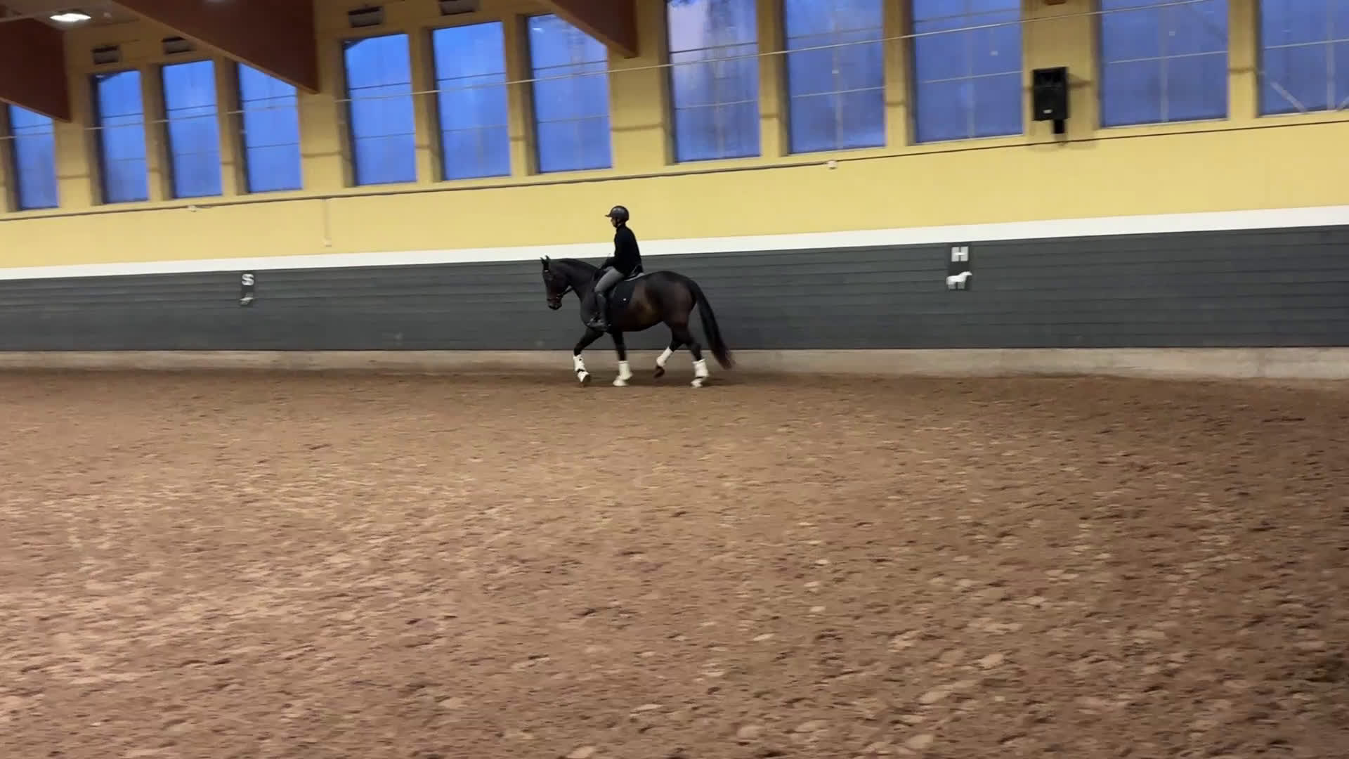  medryttarhäst finnes: Betalande medryttare  i Norrköping - Video 2