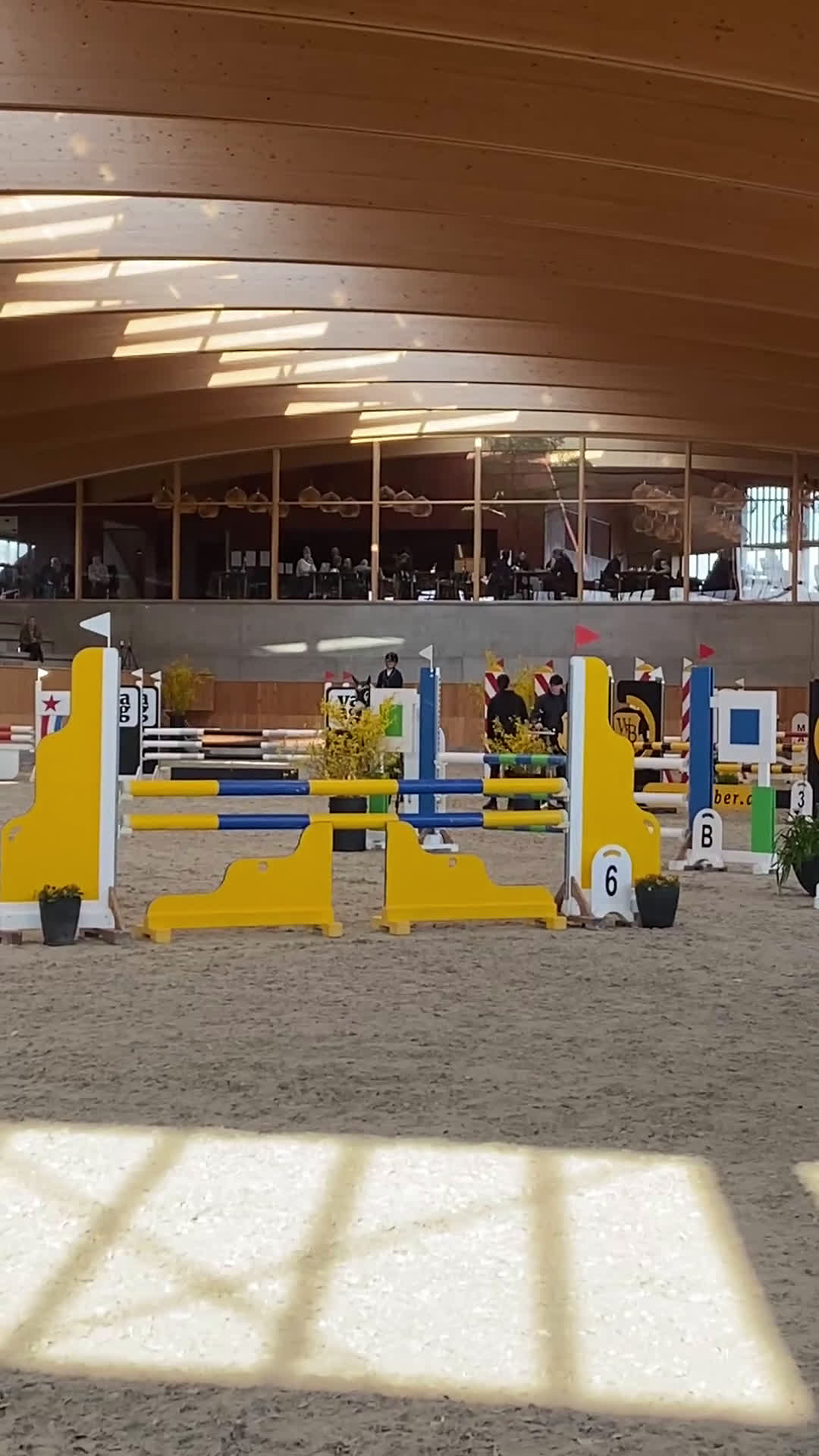 Hoppning hästar till salu: Springpony - Video 3