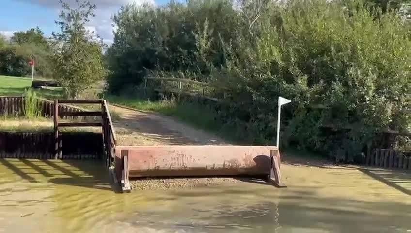 Hoppning hästar till salu: Power pony vurderes solgt - Video 3