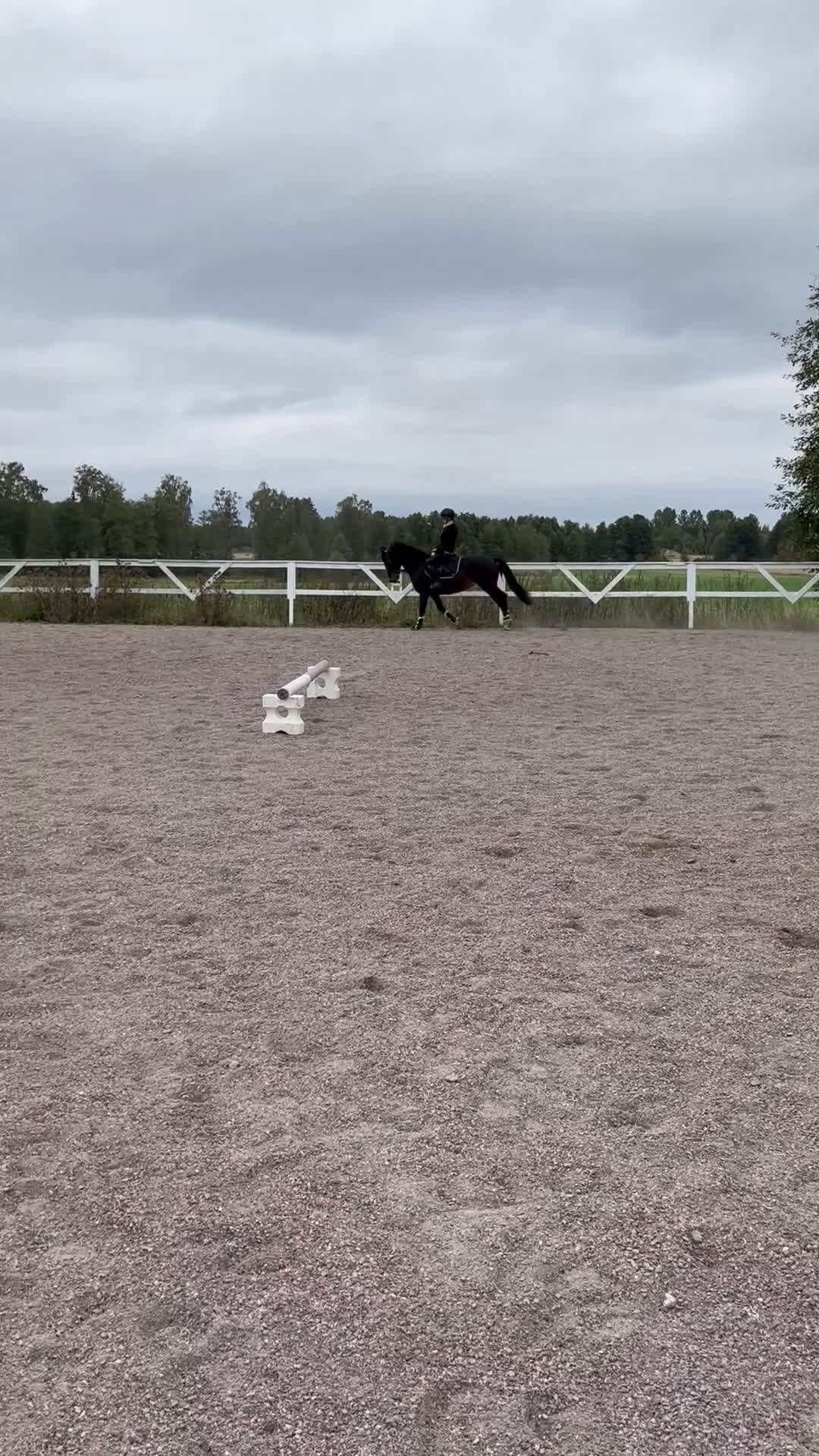 Allround hästar till salu: Fint D-ponnysto - Video 2