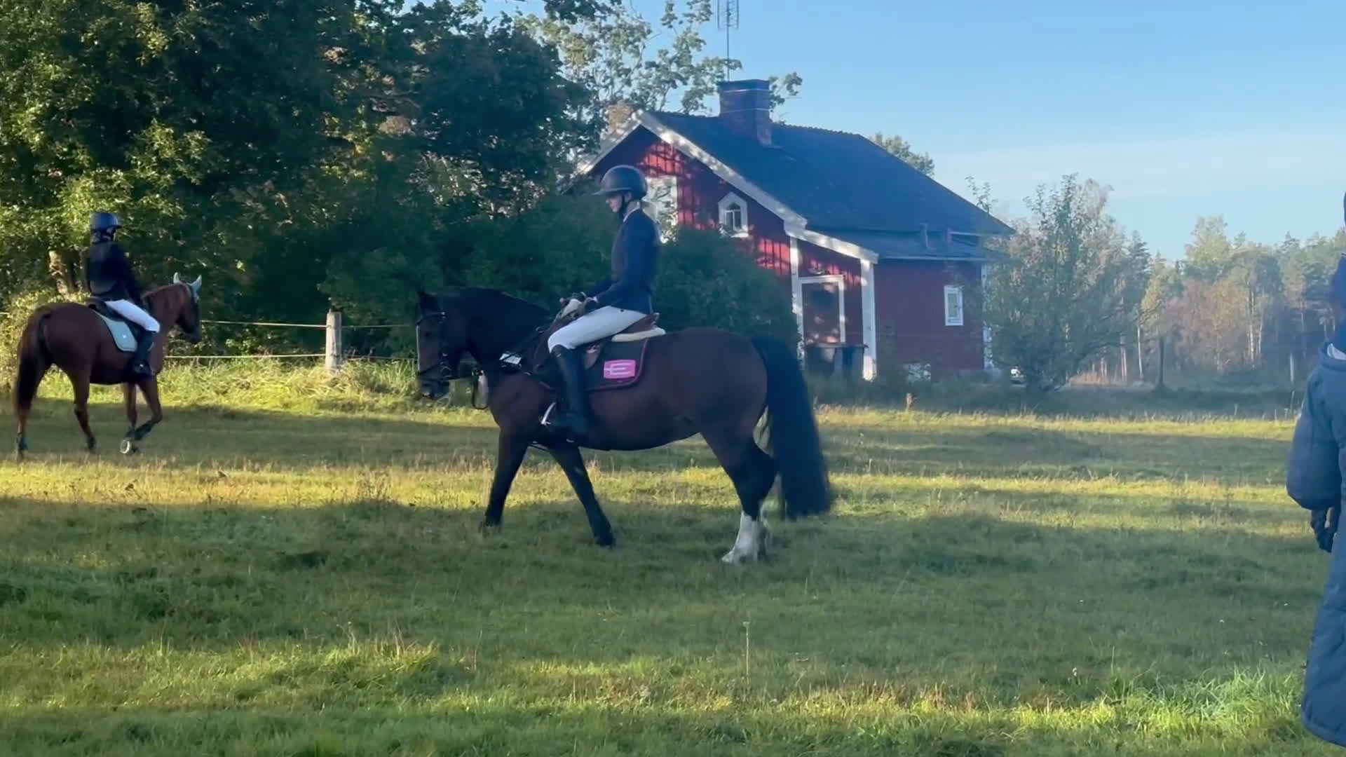 Hoppning hästar till salu: Pigg hopp ponny *Prissänkt* ev byte i Kosta - Video 2