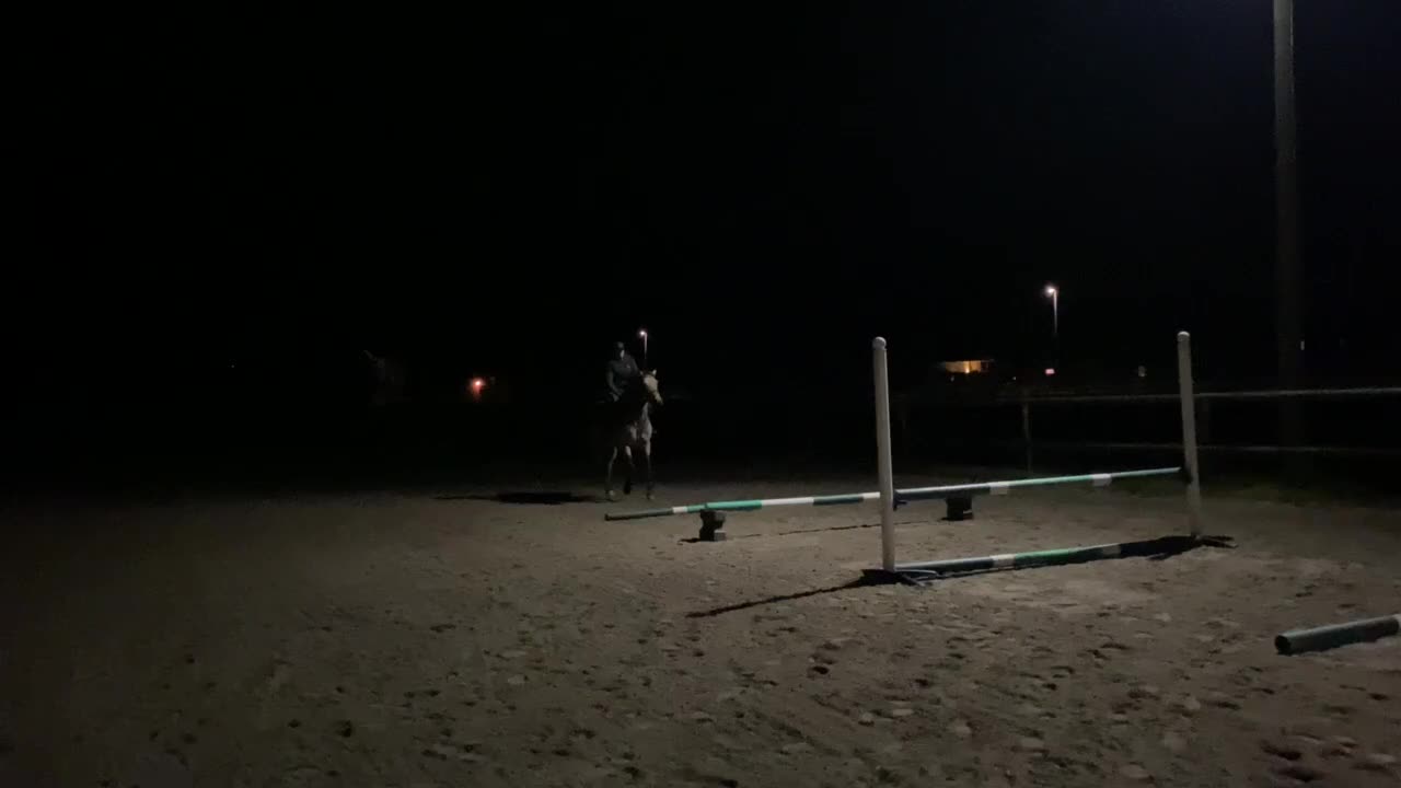 Hoppning hästar till salu: D-ponny fin med hoppteknik och stort hjärta - Video 1