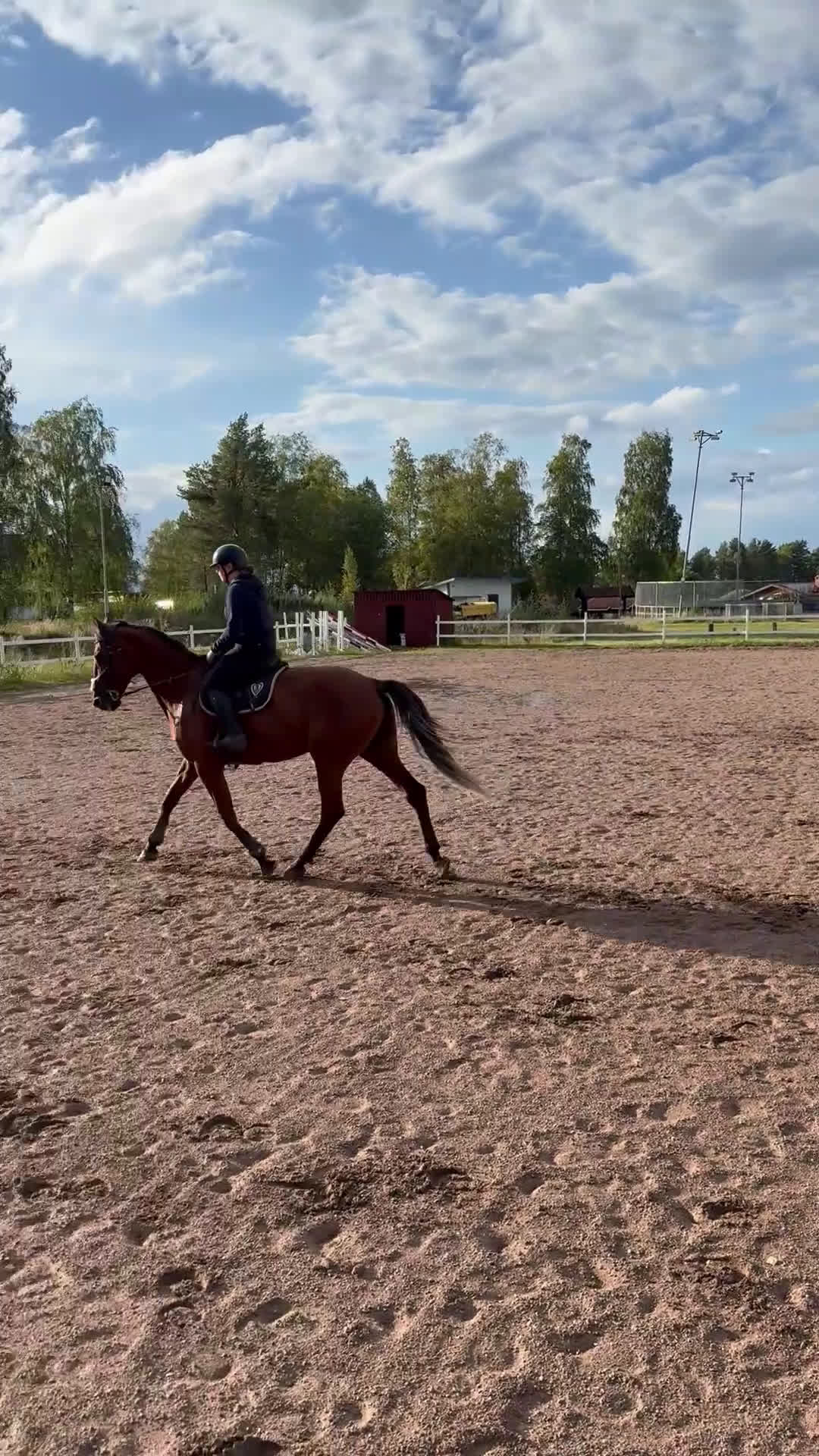 Allround hästar till salu: Din nya bästa vän  i Mora - Video 1