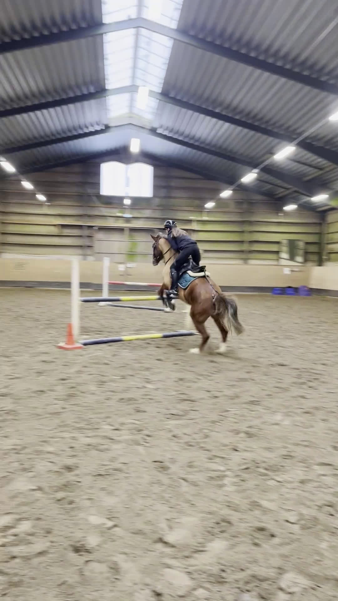 Allround hästar till salu: Ponny med hopp-potential 🩷 i Skövde - Video 1