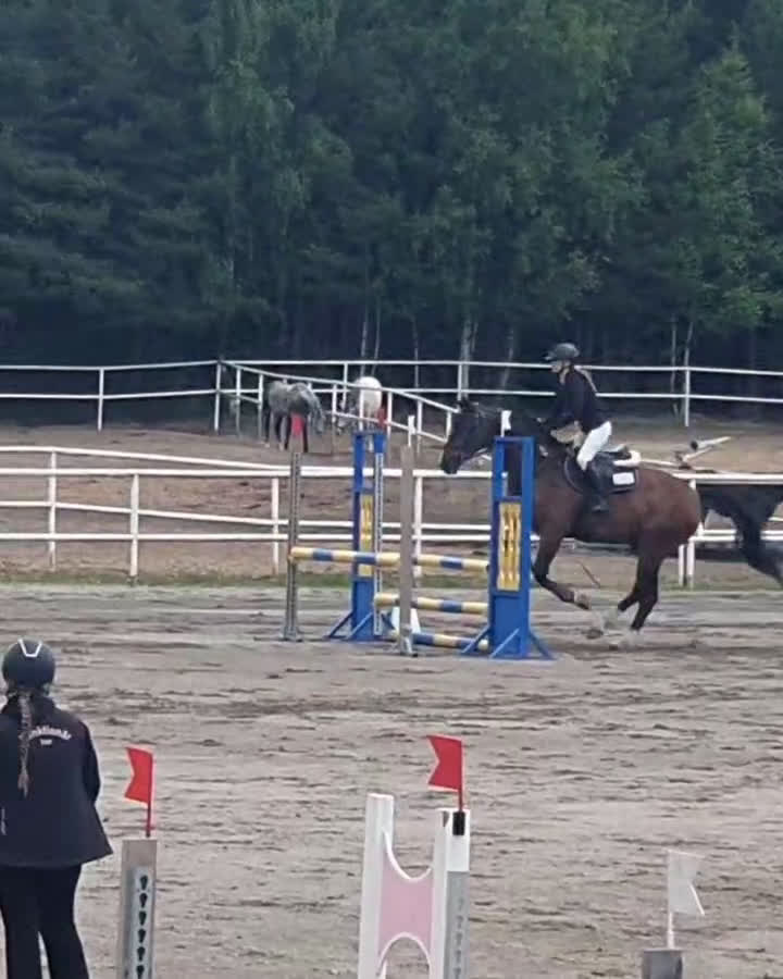 Allround hästar till salu: Bästa kompis/mor/dotter häst i Sundsvall - Video 1