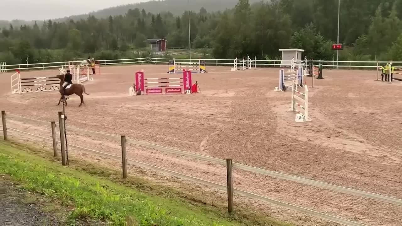 Hoppning hästar till salu: Trevlig läromästare - Video 1