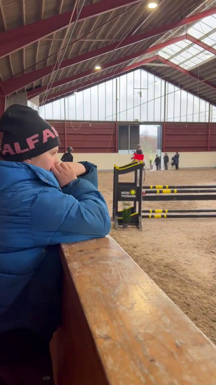 Allround hästar till salu: Drömponny inom valfri gren - Video 1