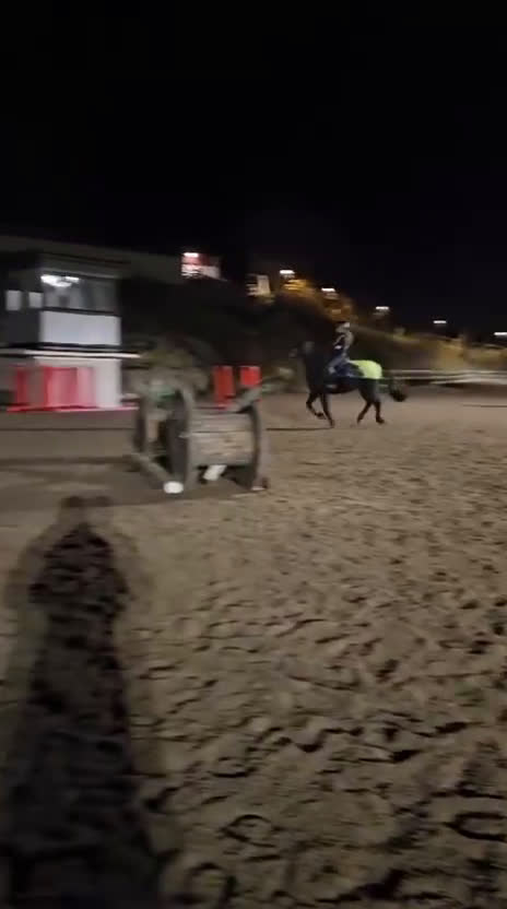 Allround hästar till salu: Härlig allroundponny i Sparreholm - Video 5