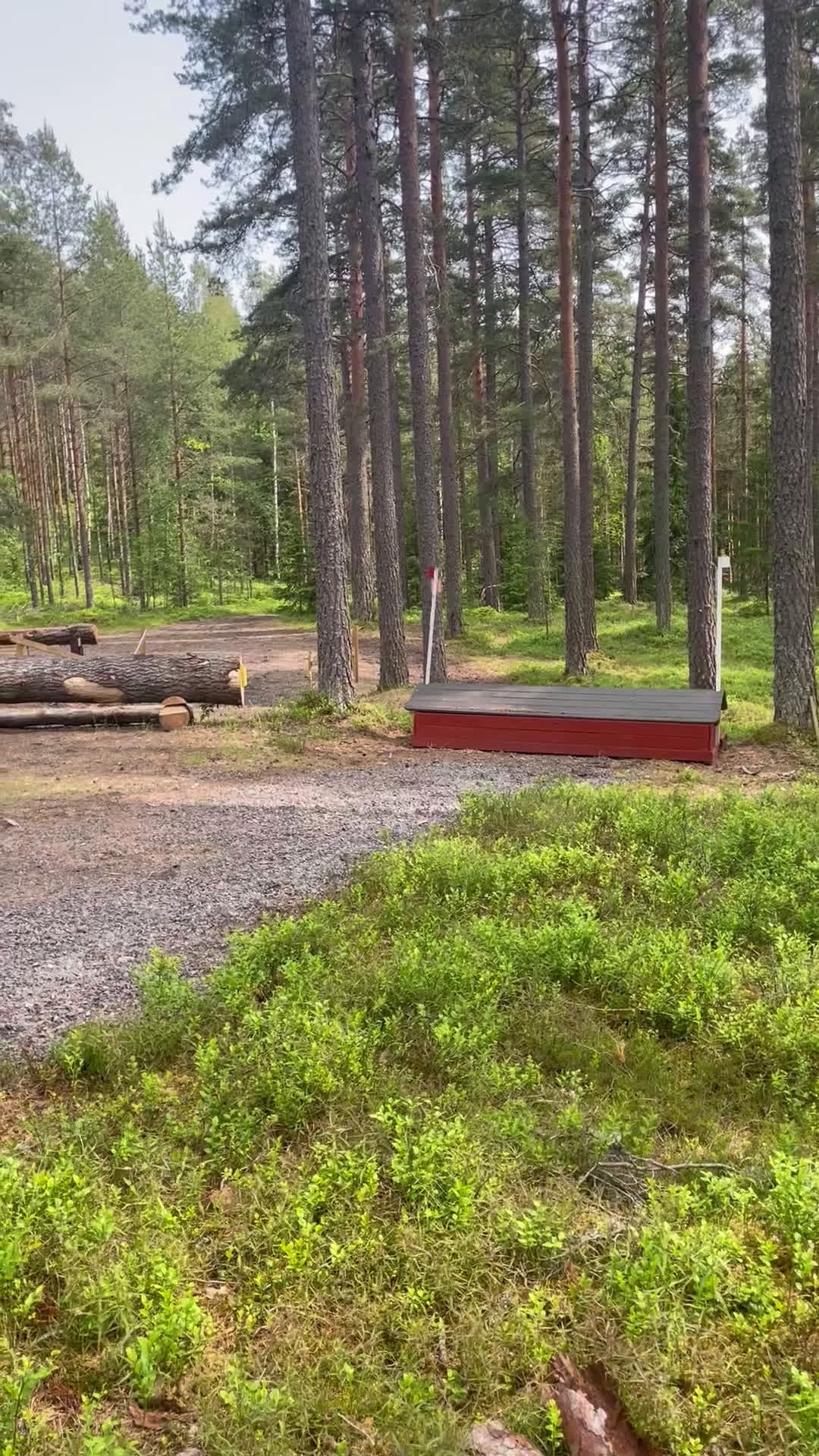 Hoppning hästar till salu: Perfekt allround ponny i Årjäng - Video 1