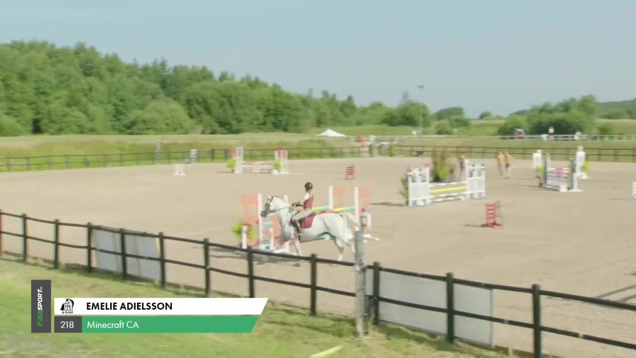 Hoppning hästar till salu: Vacker tävlingshäst med bra hoppteknik - Video 3