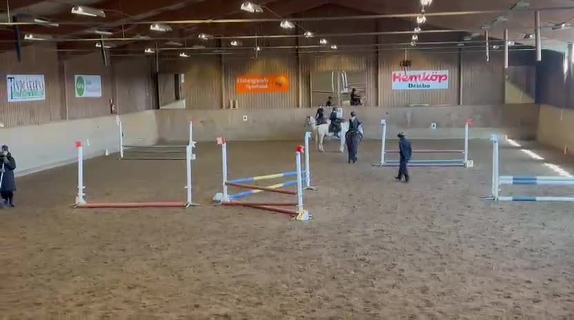 Allround hästar till salu: Rolig allroundponny i Delsbo - Video 3