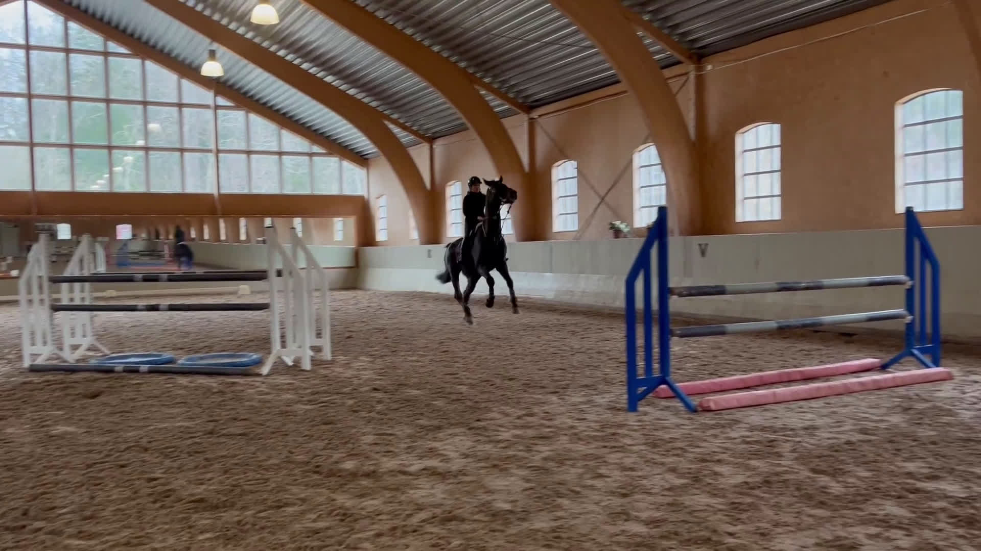 Hoppning hästar till salu: Scopig valack och dressyrämne i ett i Ekerö - Video 2