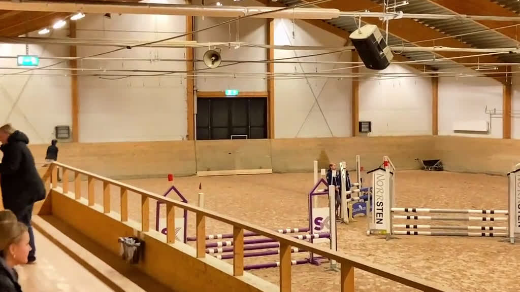 Allround hästar sökes: Hjälp med hästar  i Vännäs - Video 1