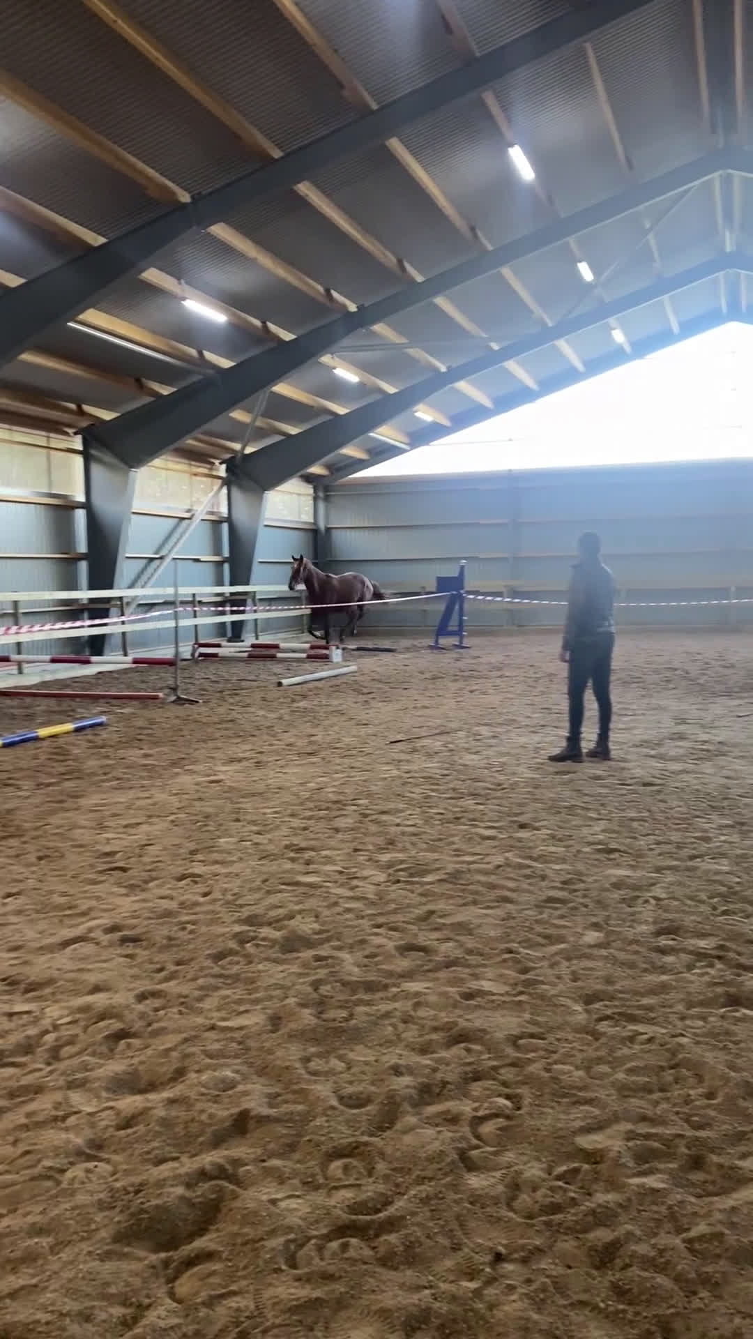 Hoppning hästar till salu: Nyfiken och socialt sto i Björköby - Video 1