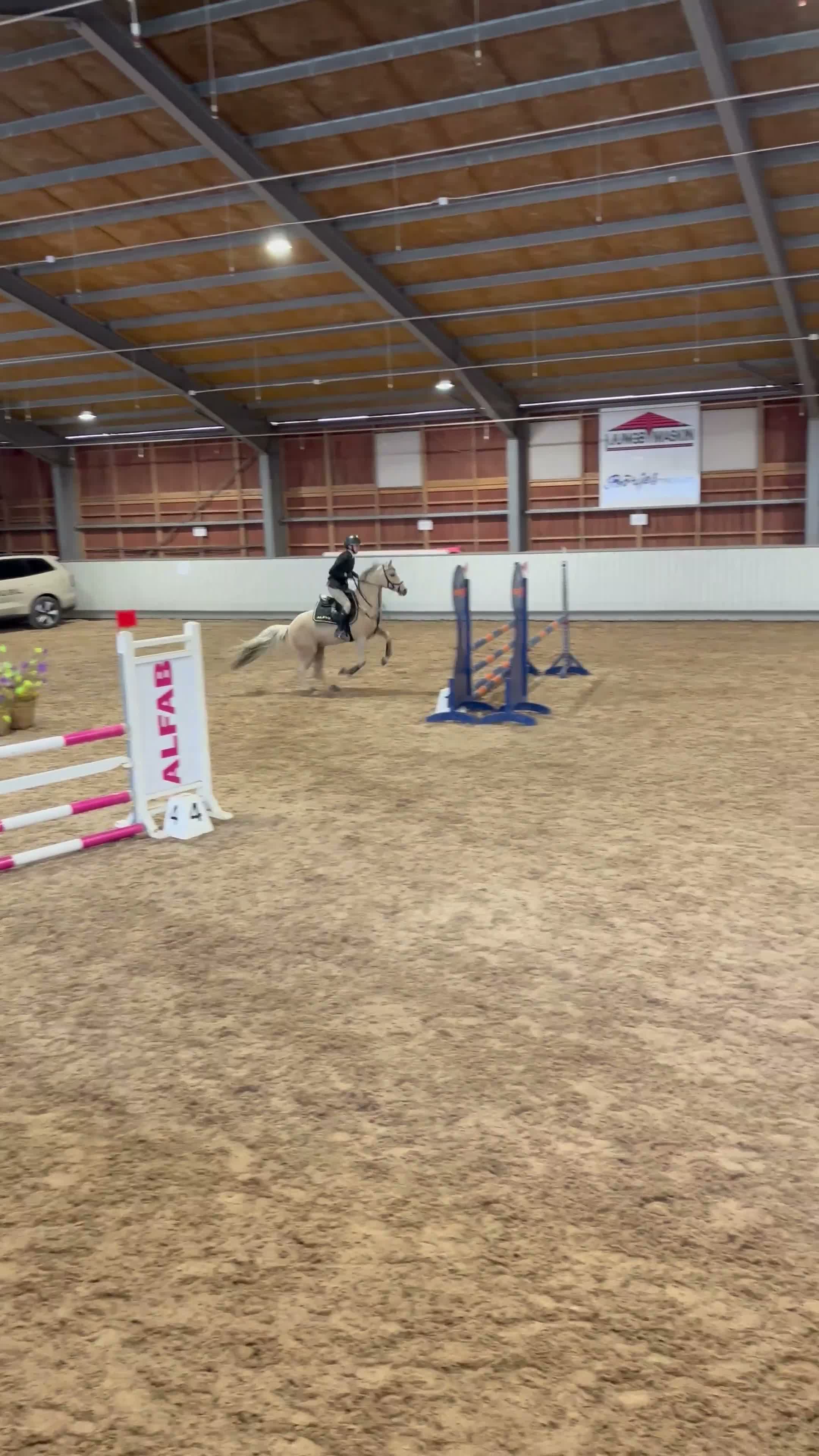 Hoppning hästar till salu: Fantastisk C-ponny med stor hoppförmåga - Video 1