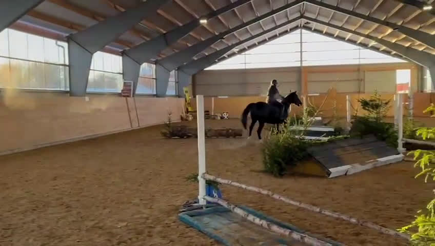 Allround hästar till salu: Härlig 5-åring  i Nässjö - Video 1