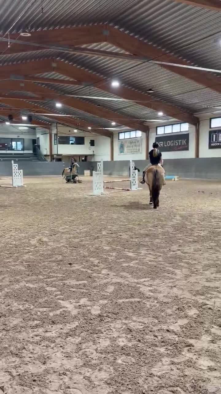 Hoppning hästar till salu: Blixten pigg och hoppglad ponny  🐴❤️ - Video 5