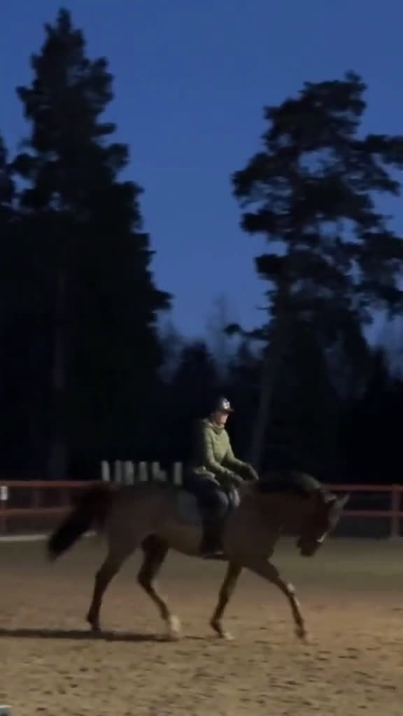 Dressyr hästar till salu: Dressyrhäst för framtiden! i Vattholma - Video 3