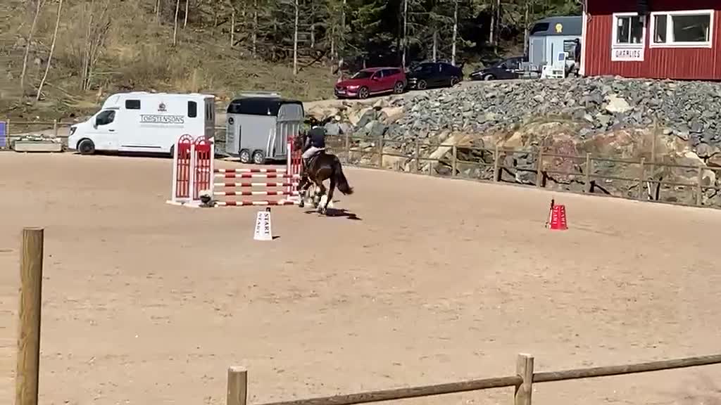 Hoppning hästar till salu: Storhoppande valack  i Ingatorp - Video 1