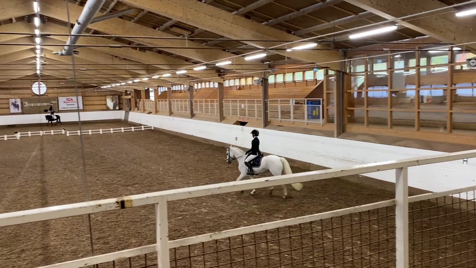 Allround hästar till salu: Supersnäll bästa vän och dressyrponny i Huddinge - Video 1