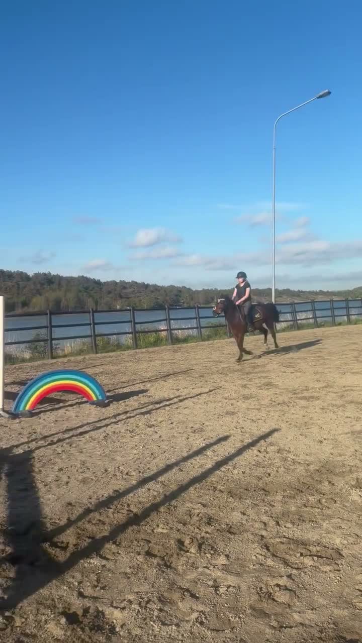 Allround hästar till salu: Maxad C-ponny Hoppning  - Video 4