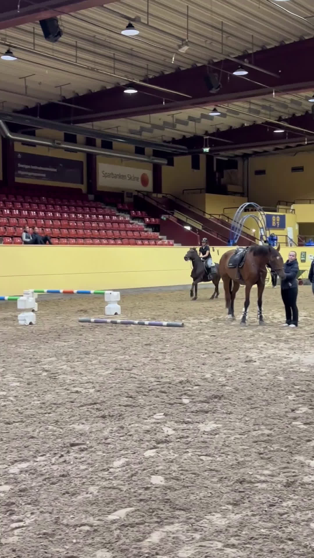 Allround hästar till salu: Fantastisk D-ponny till salu i Bankeryd - Video 1