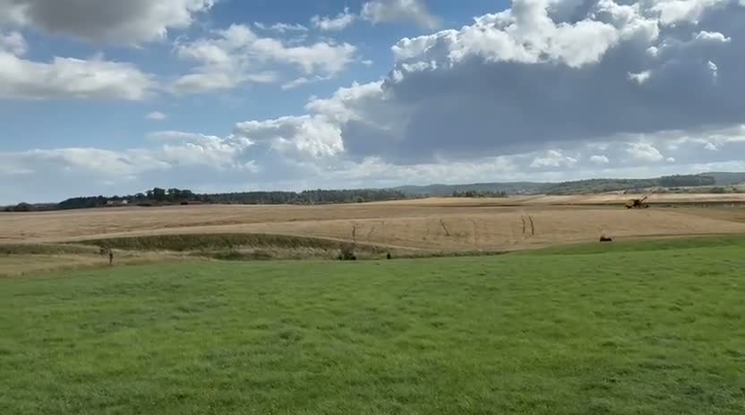 Allround hästar till salu: Vackert Sto - Video 3