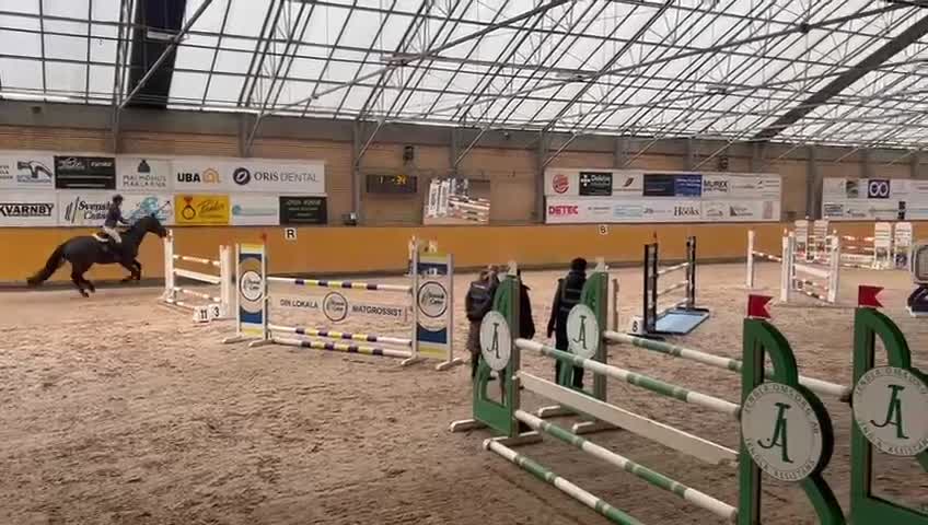 Hoppning hästar till salu: Toppstammad supersnäll hoppvalack i Strängnäs - Video 1