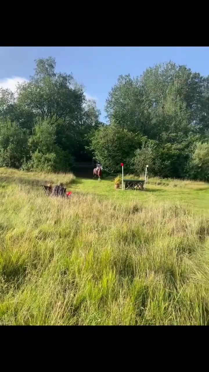 Allround hästar till salu: Mångsidig ponny med mycket power🌟 i Rånäs - Video 2