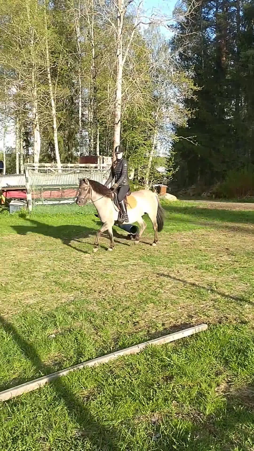 Körning hästar till salu: Charmig ponny till tuff ryttare! - Video 3