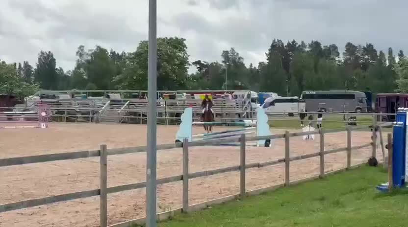 Hoppning hästar till salu: Storhoppande valack med framtiden i sporten - Video 1