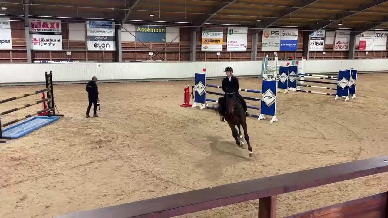 Hoppning hästar till salu: Fantastik tävlingskompis i Forsheda - Video 1