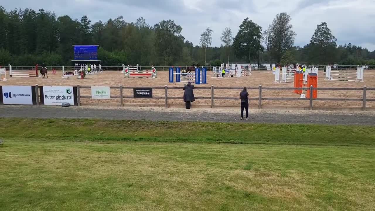 Allround hästar till salu: Rart sto  - Video 1