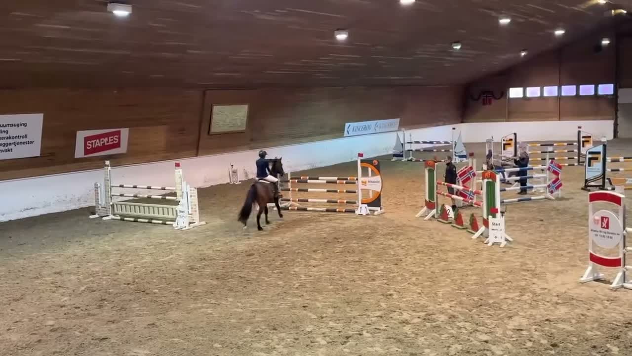 Hoppning hästar till salu: Hopphäst läromästare vurderes solgt - Video 1