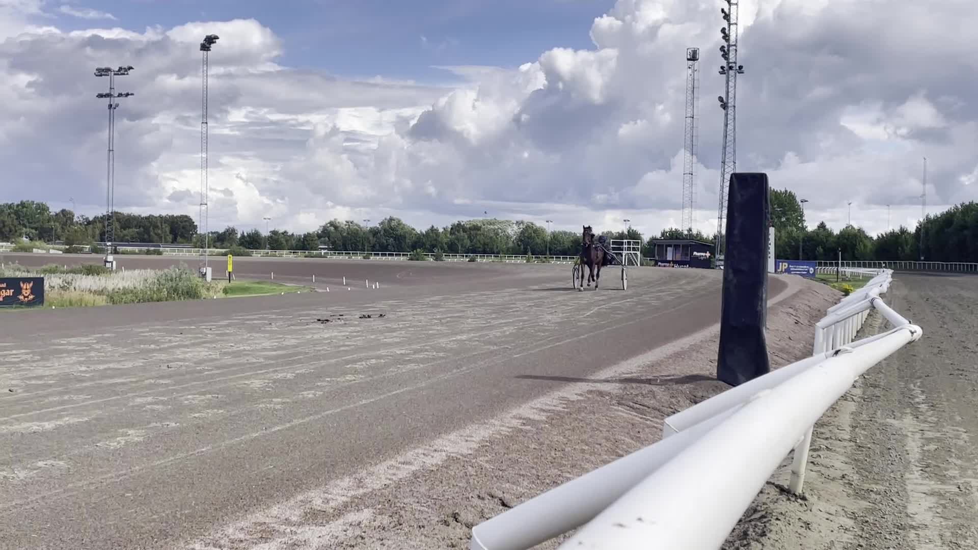 Trav hästar till salu: Kapabel 2-årig valack - Video 3