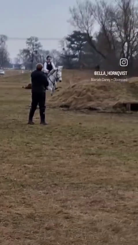 Hoppning hästar till salu: Storhoppande maxad D-Ponny - Video 1