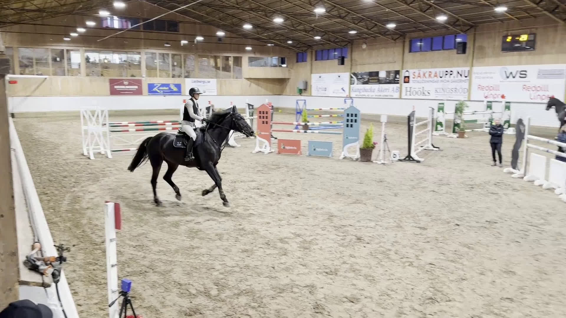 Hoppning hästar till salu: Välhoppande valack med kapacitet i Falkenberg - Video 1