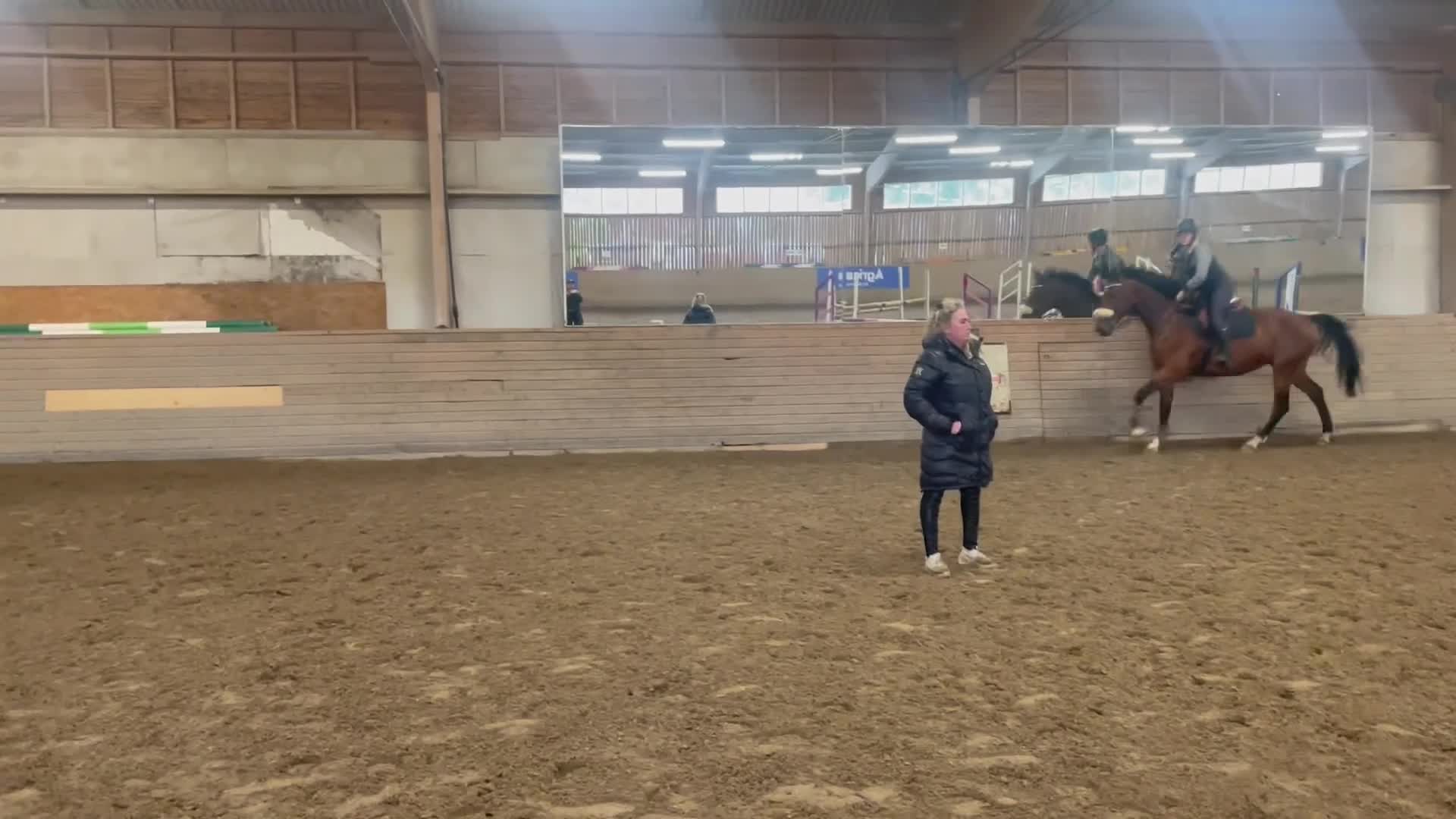 Hoppning hästar till salu: Stor hoppvalack i Kungsängen - Video 1