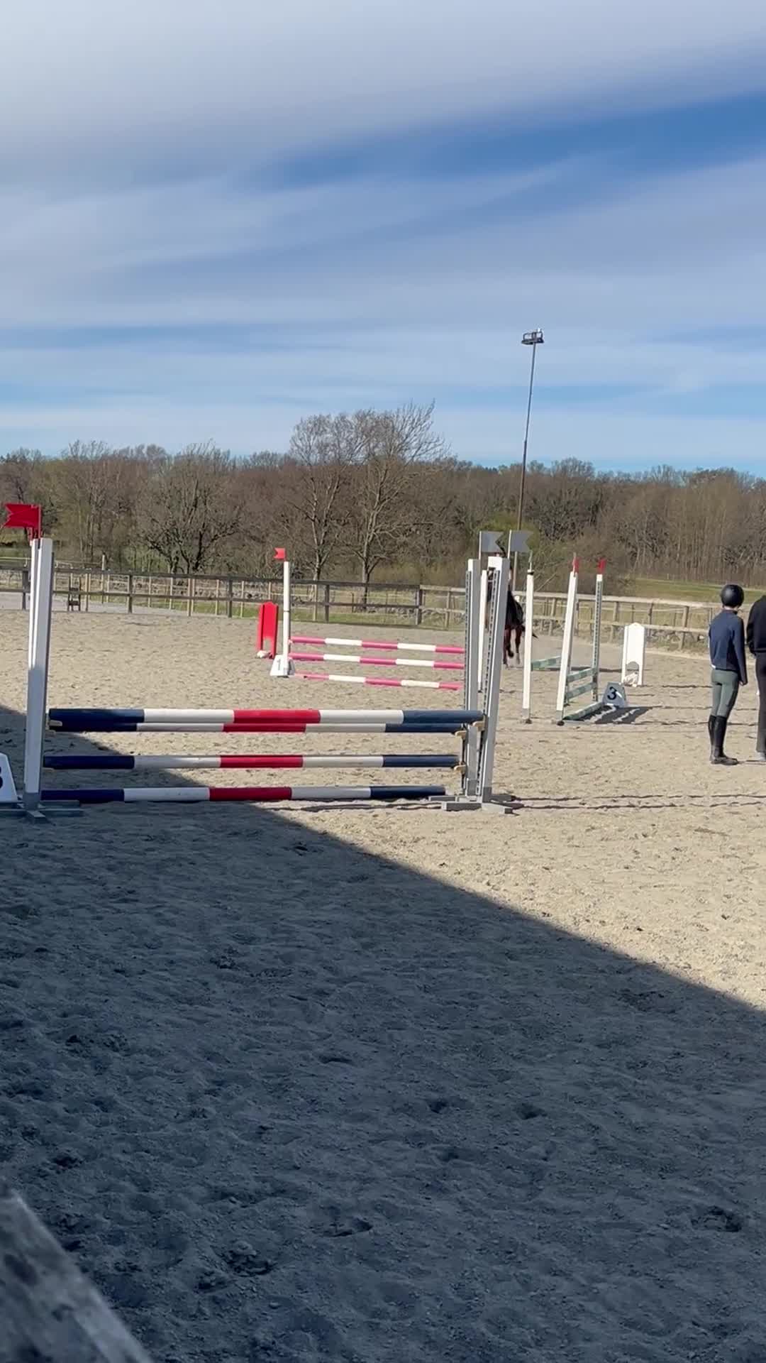 Allround hästar till salu: Ponny med stort hjärta söker fem ⭐️ hem i Spekeröd - Video 2
