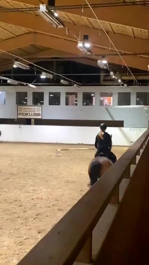 Allround hästar sökes: Häst sökes eller långtids foderhäst  - Video 3