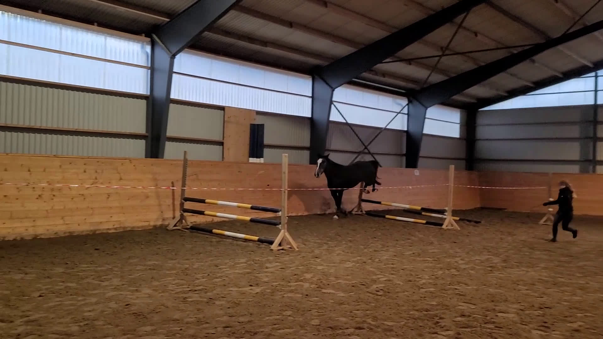 Hoppning hästar till salu: Nybliven 4åring med det där extra! 🌟💫 - Video 1