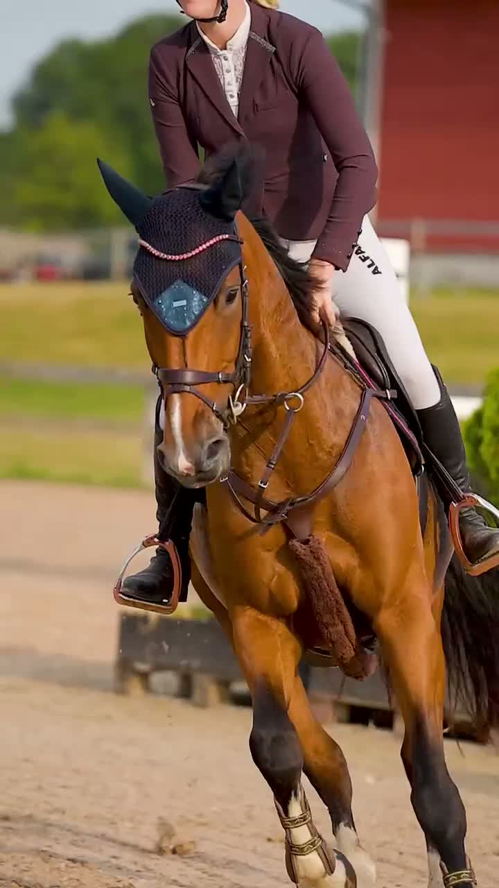 Hoppning hästar till salu: Sto med power - Video 2