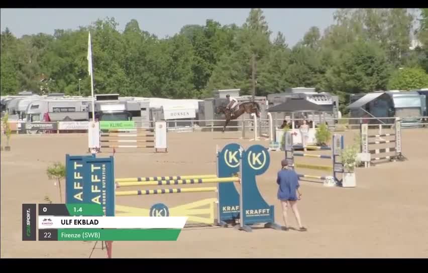 Hoppning hästar till salu: Kvalitetshäst - Video 1