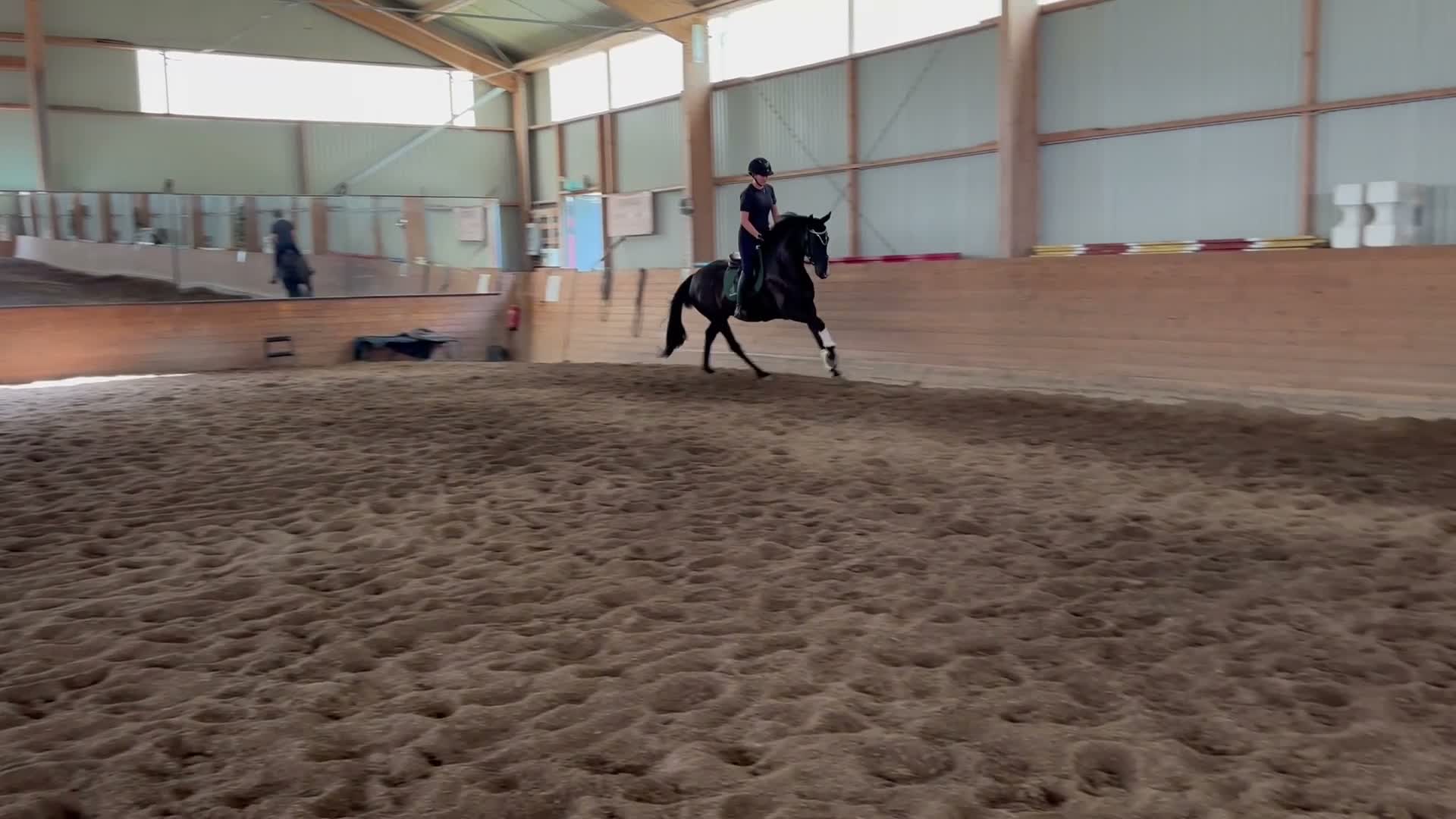Allround hästar till salu: Charmig 4-åring  i Eksjö - Video 2