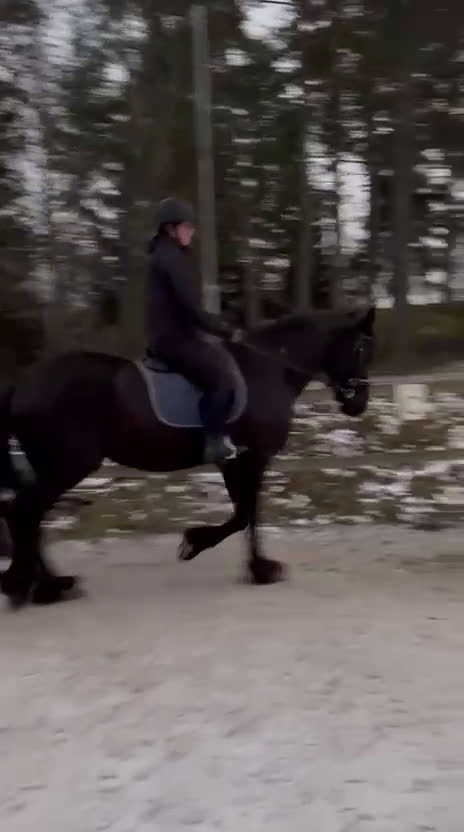  medryttarhäst sökes: Medryttarhäst/skötare sökes i Vagnhärad - Video 2