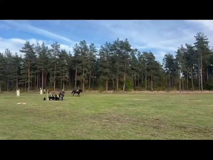 Allround hästar till salu: Trevlig dressyr, hopp, fälttävlans valack i Färlöv - Video 1