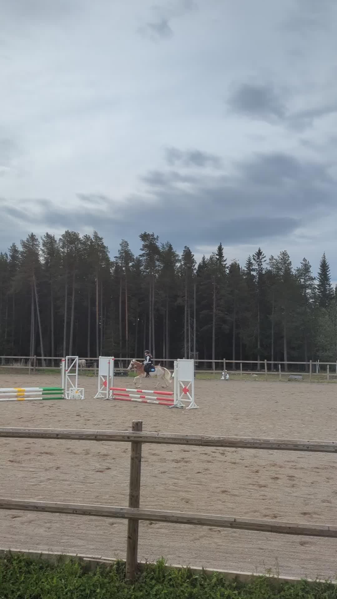 Allround hästar till salu: Sockersöt B-Ponny!❤️🎀 - Video 5