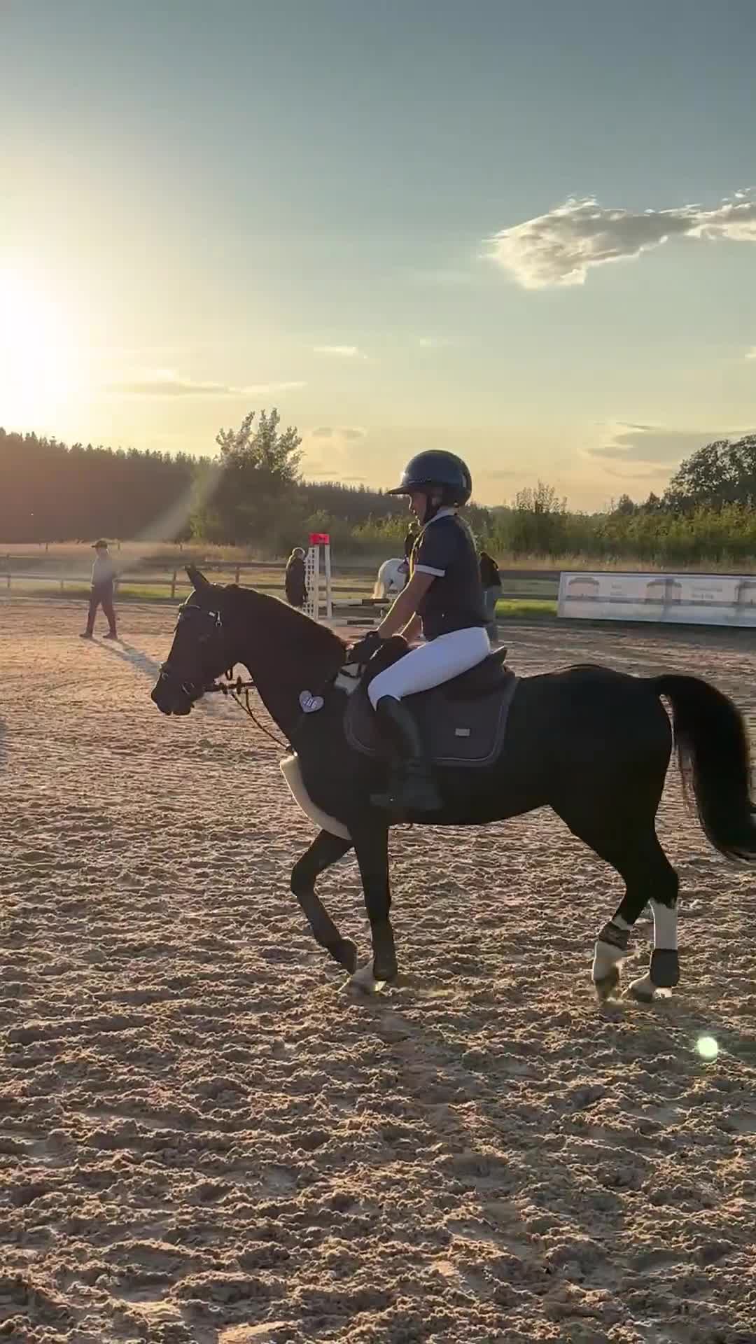 Allround hästar till salu: Tävlingskompis med erfarenhet  - Video 1